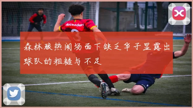 森林狼热闹场面下缺乏华子显露出球队的粗糙与不足